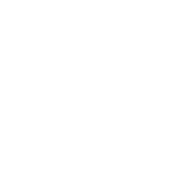 Fujikura